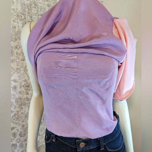 Spring 2012 RTW Phillip Lim 3.1 Lilac & Pink Silk Draped Bustier NWT sz 10 - Picture 9 of 17
